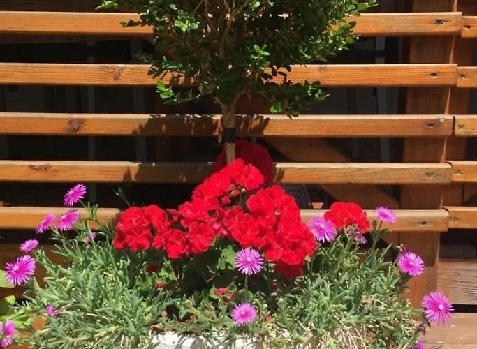 Apartamento By The Sea Biograd Na Moru, Biograd - 25398 *